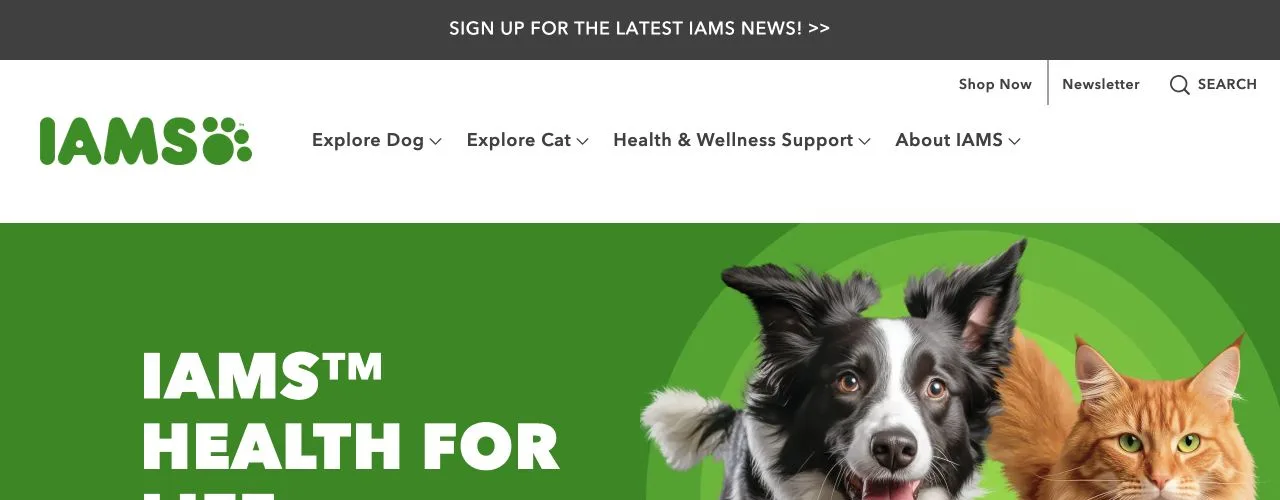 IAMS website homepage